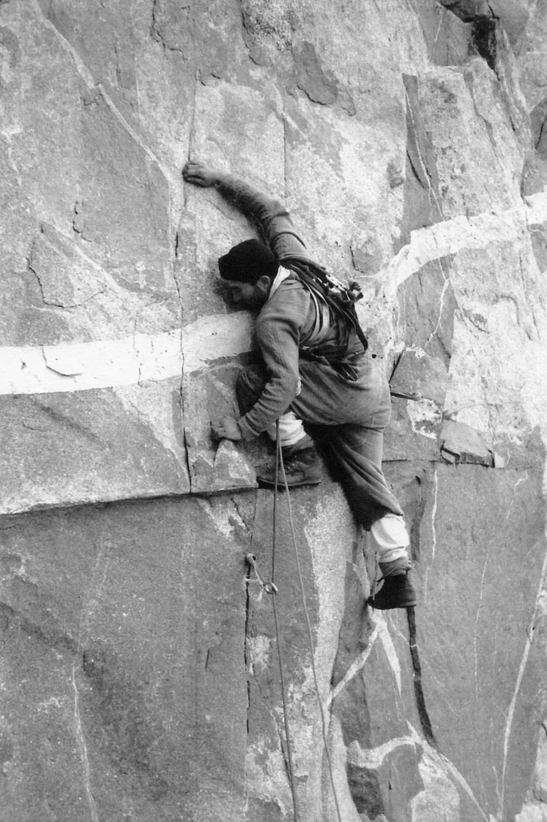 patagonia的总裁,patagonia设计师