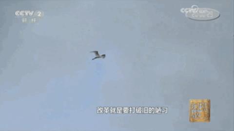 讲解深圳的纪录片,纪录片深圳的变迁