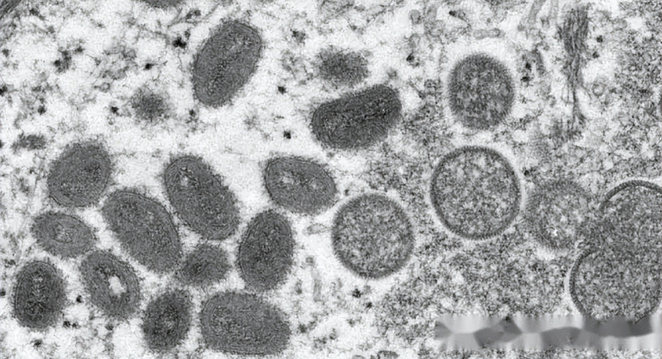 永威金桥西棠10亿监管资金,永威金桥西棠追回挪用资金