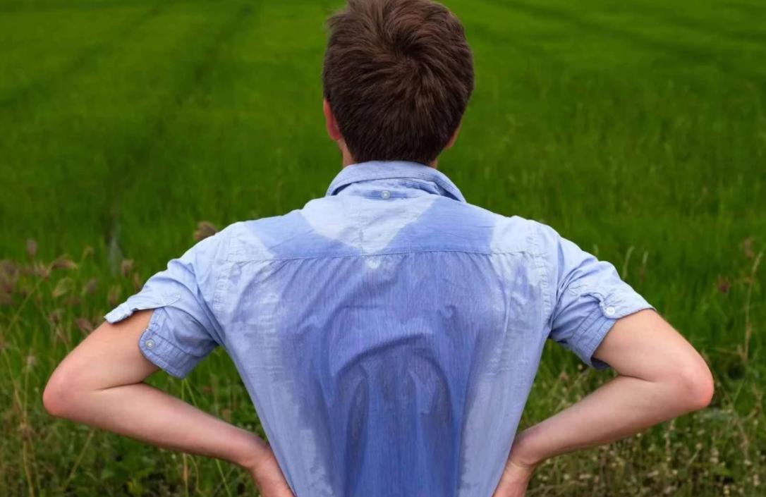 气虚自汗阴虚盗汗两味中药,自汗盗汗头部出汗多中成药