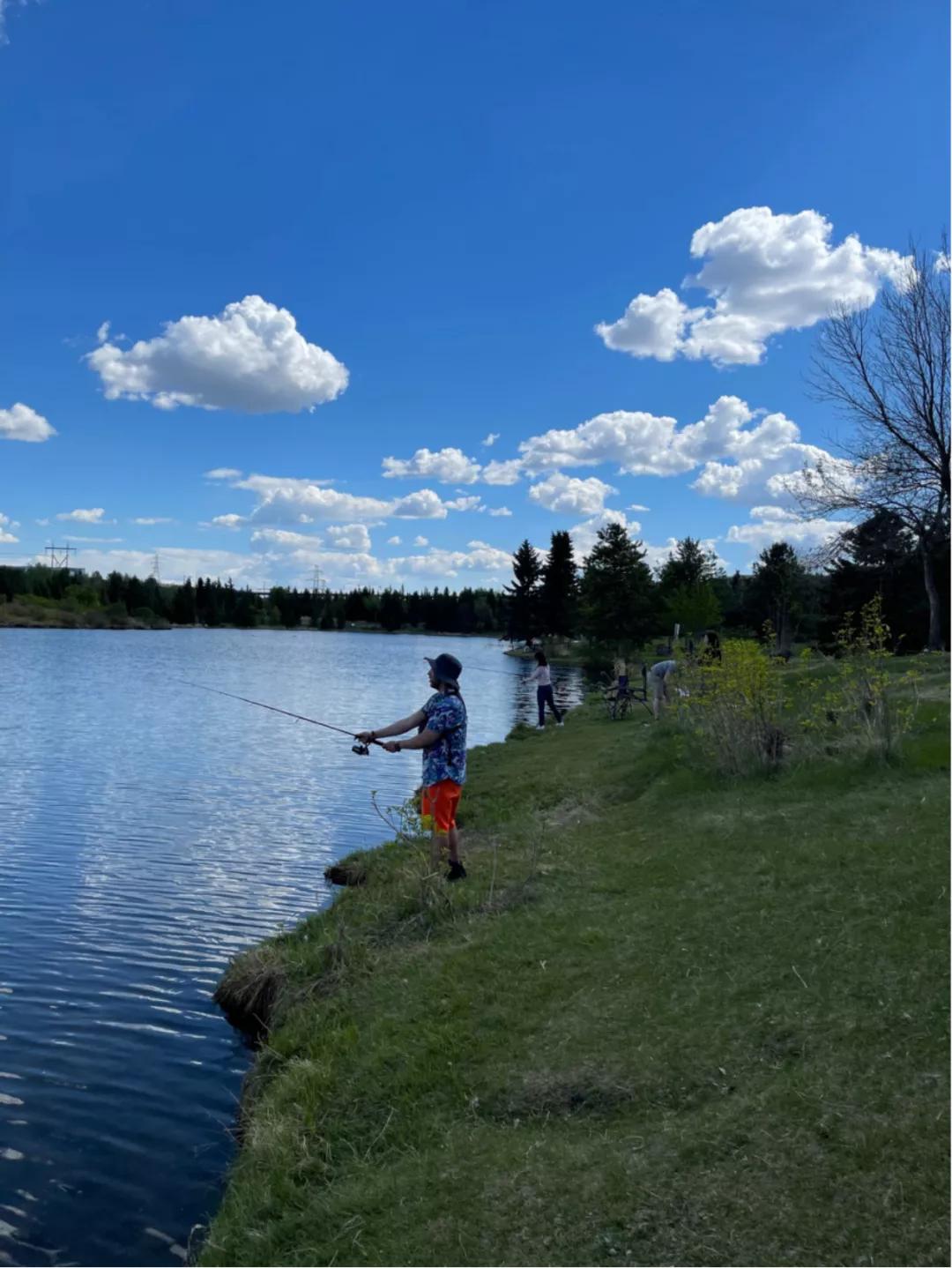 marsha缇庡浗,marsha鏃呮父