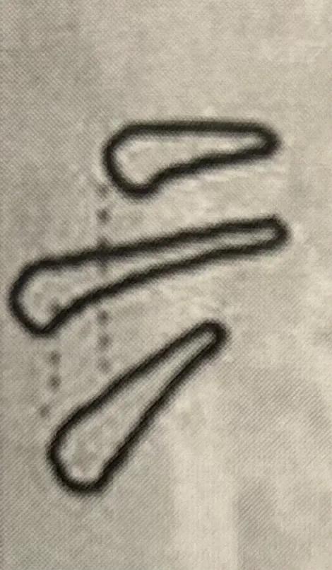 曹全碑四字书法作品图片,曹全碑关于学习的书法作品七言