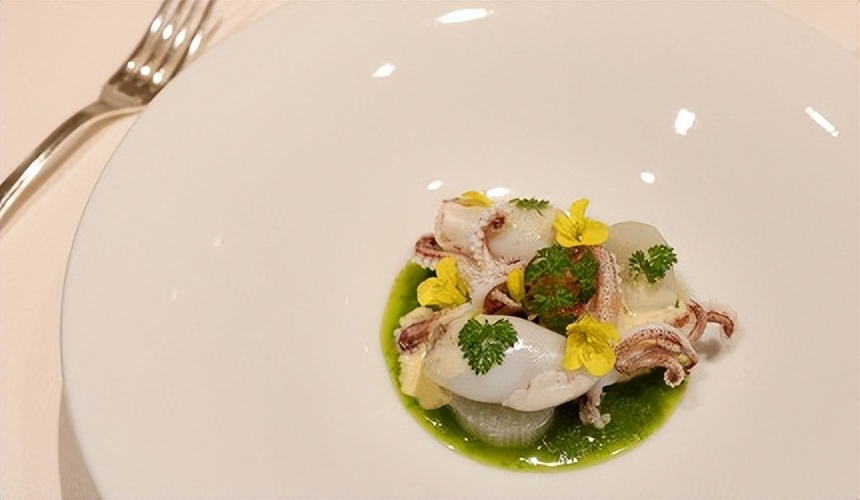 搭乘火车游日本,日本豪华观光列车