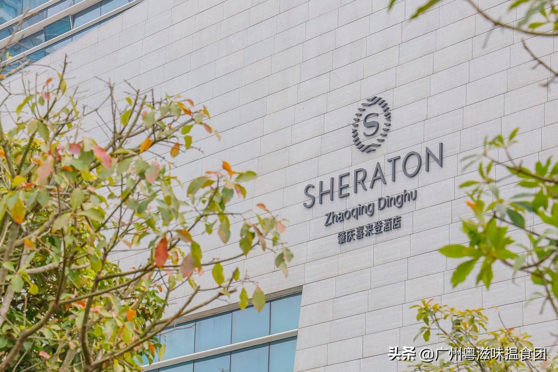 来绿林润肺放肆“森”呼吸，体验全新肇庆喜来登酒