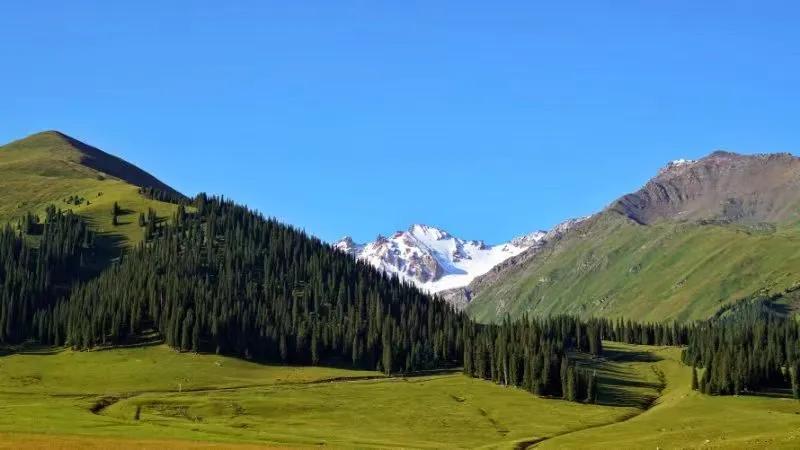 现在货币基金收益好的有哪几个,货币基金收益为什么会越来越低