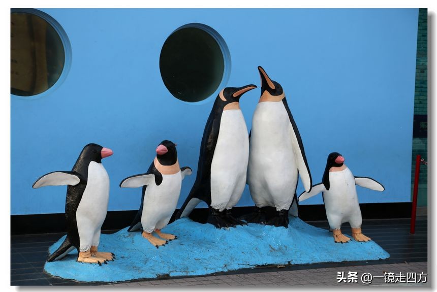 上海长风海洋公园和自然博物馆,上海长风公园占地面积