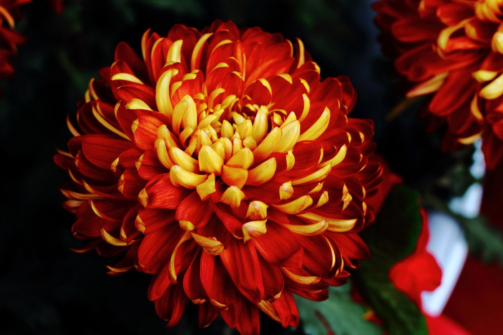 八朝古都开封旅游攻略,河南开封千回大宋旅行攻略