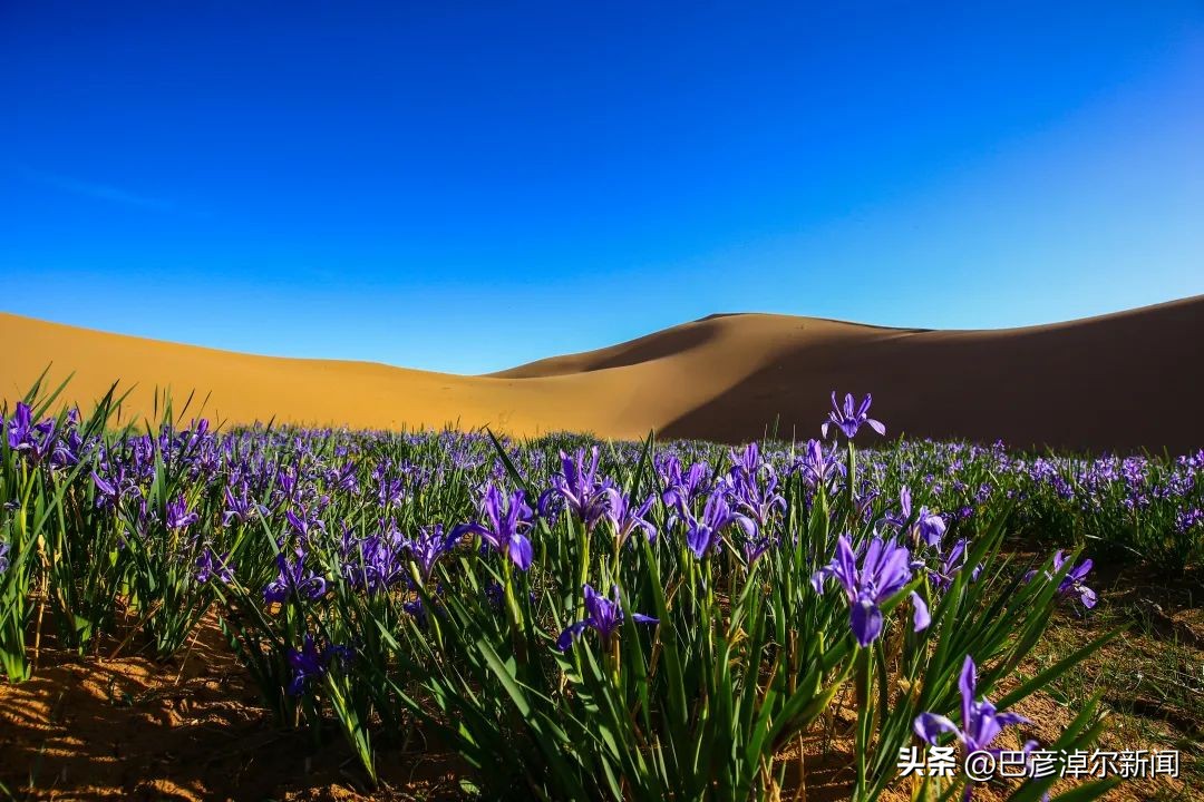 巴彦淖尔市露营地推荐,巴彦淖尔可以露营的山