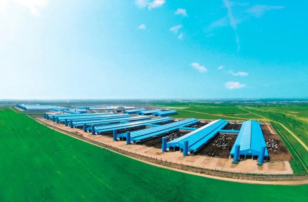 铭记关怀感恩奋进——牢记总书记嘱托交出首府亮丽答卷