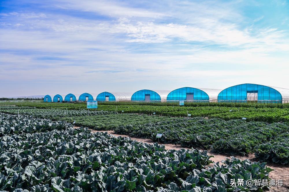 大美中国走进宁夏固原,宁夏固原简介