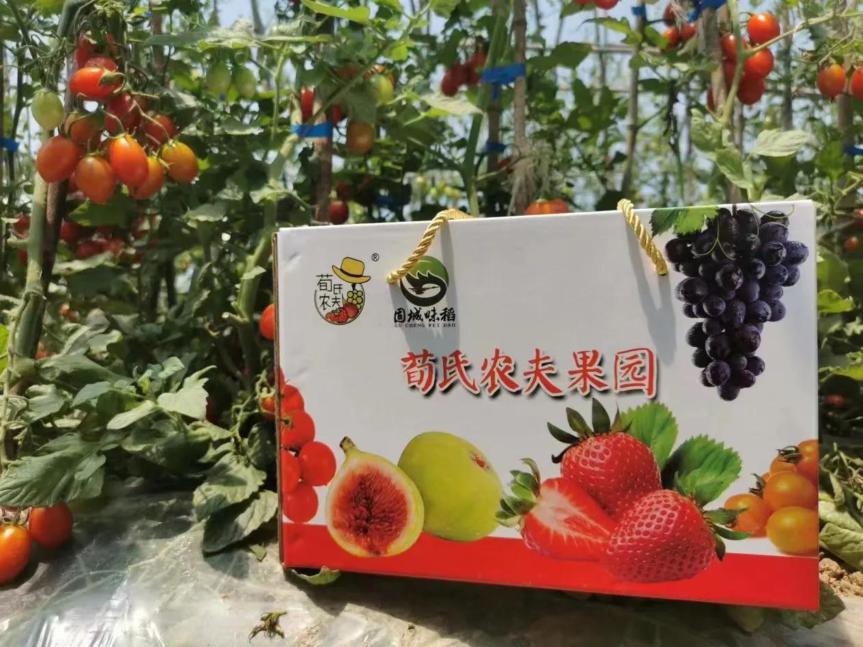 南京市高淳区新时代农人——荀新富：跨界创业“种”出美好新生活