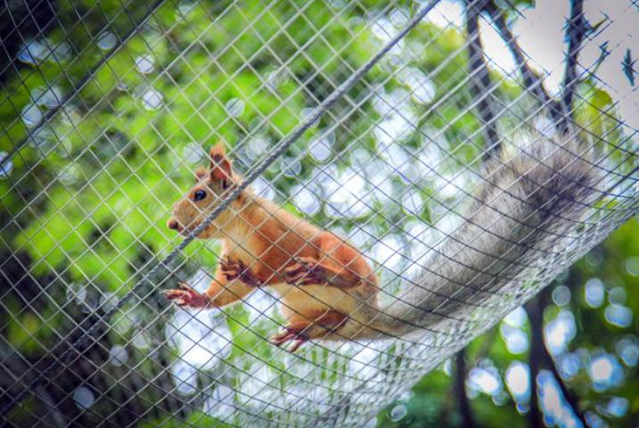 郑州周边网红打卡游玩攻略,适合孩子玩的郑州网红景点打卡地