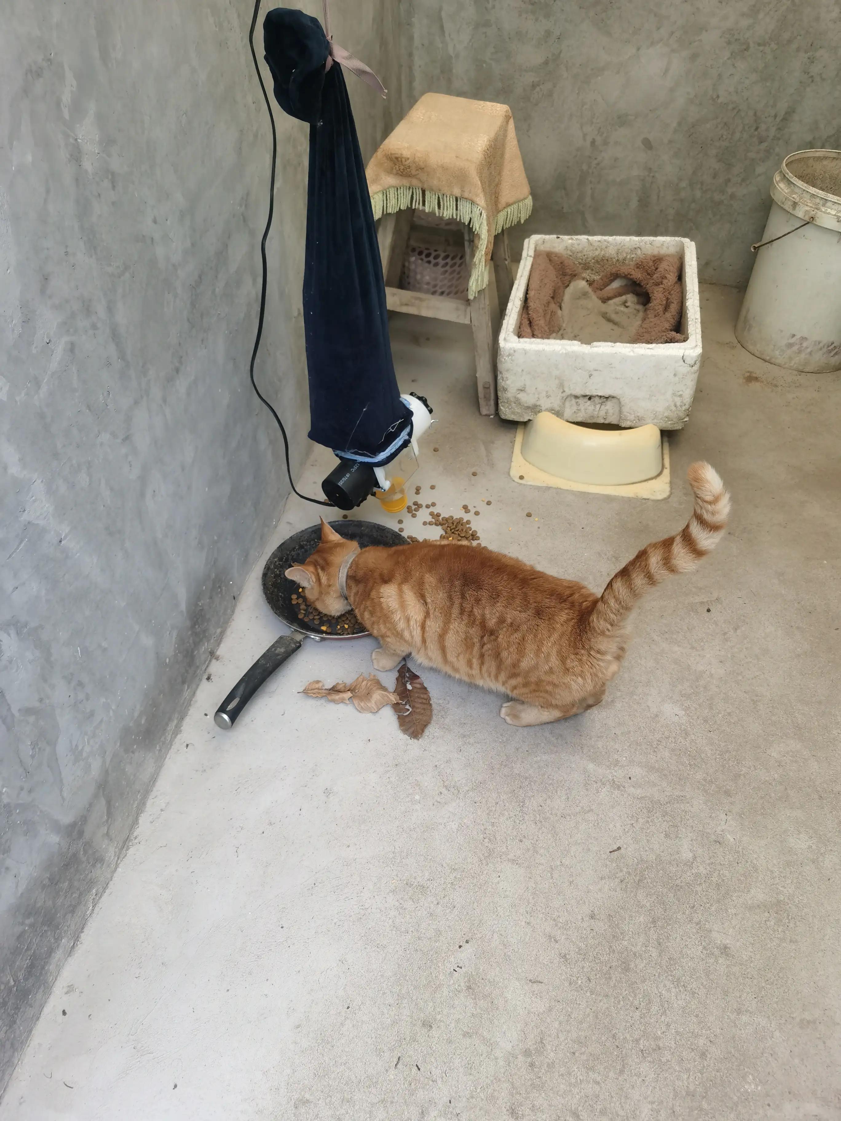 饲料拌料机改造,饲料机改装颗粒机