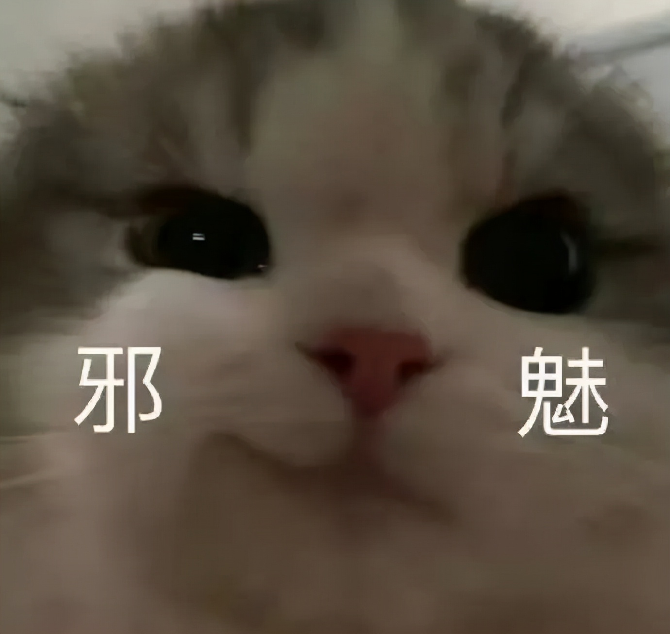 这所被“网红”称号耽误的UC校，资源好、就业牛，来了就不想走