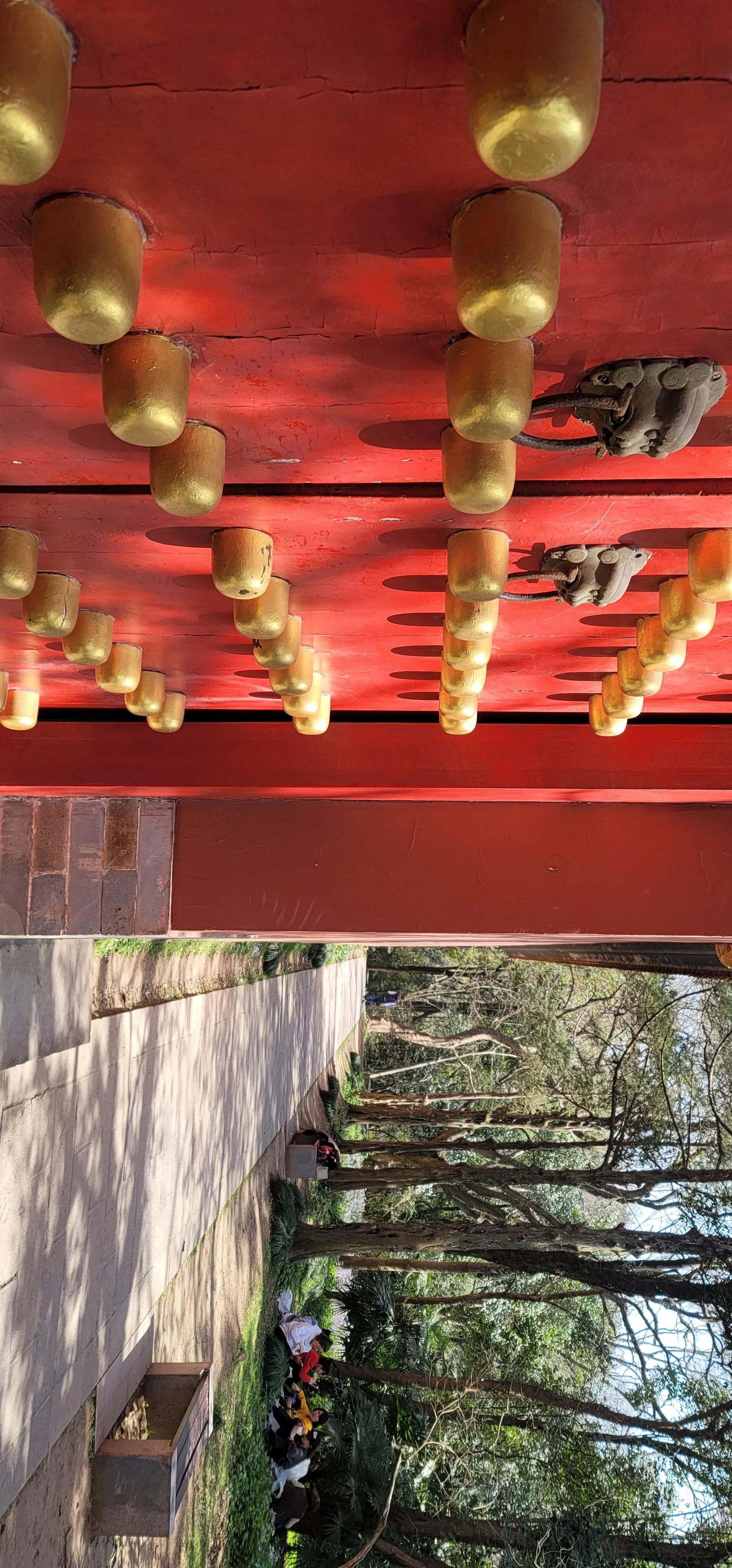 开着沪牌回老家怎么样,开着大巴玩转江浙沪