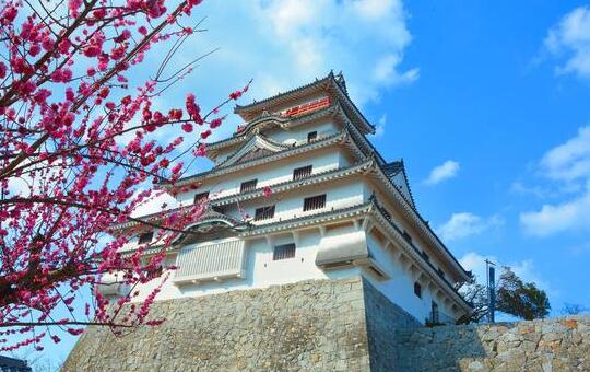 日本佐贺县景点介绍,日本佐贺旅游攻略视频