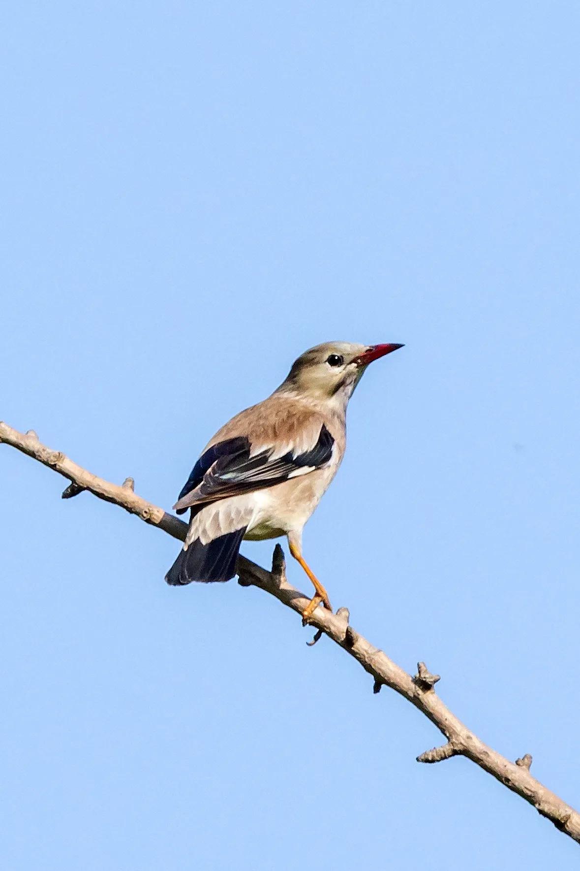 上海市嘉定区安亭国际汽车城,上海嘉定安亭国际汽车城