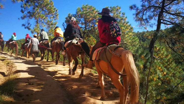 丽江拉市海茶马古道沿途风景,丽江旅游攻略茶马古道