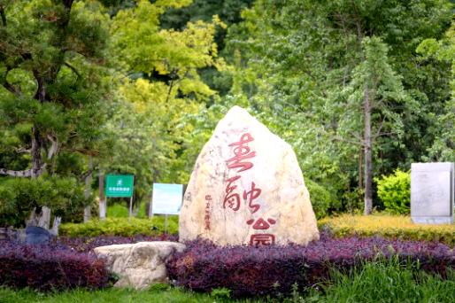 呈贡可以露营的公园,呈贡附近小众的露营地