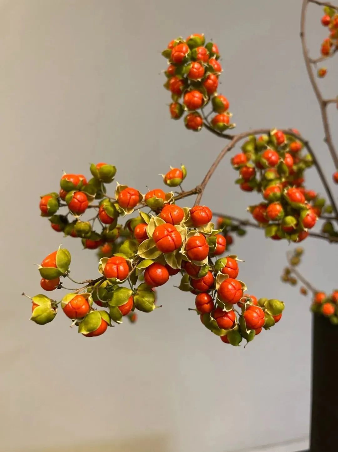 新手必看鲜花养护攻略,鲜花在水里能养几天会死