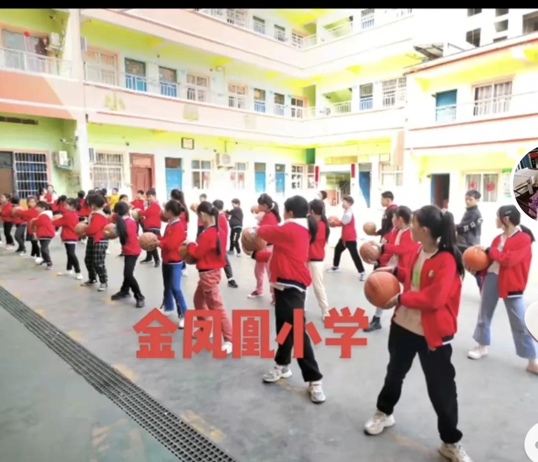 金凤凰儿童游玩区,金凤凰小朋友上学