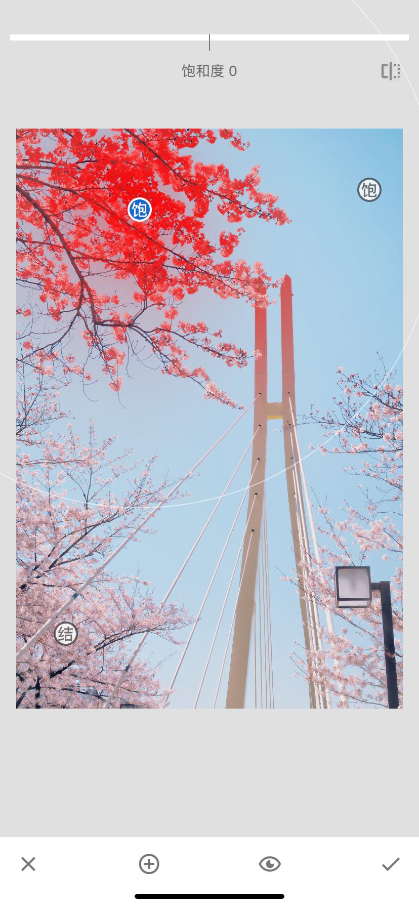 樱花照片怎么修图,樱花拍摄技巧和修图