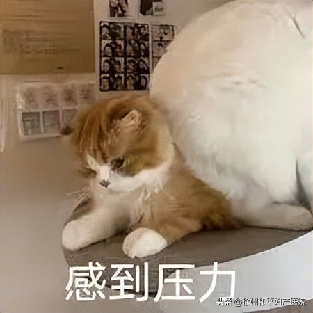 7个月孕检还正常，生前居然查出梅毒！究竟谁传染的？