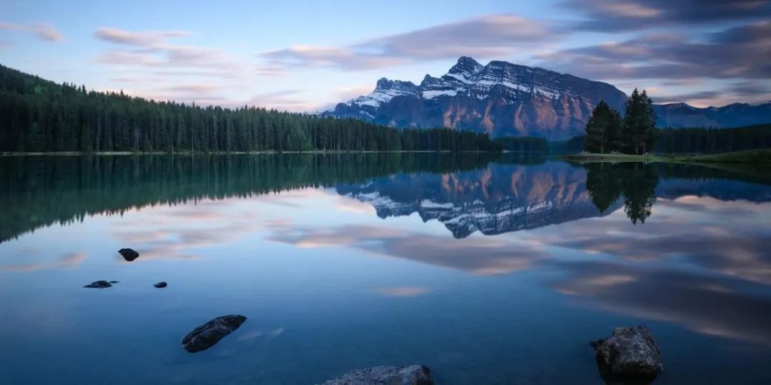 大闸蟹带你领略各种美味,大闸蟹吃出文化韵味
