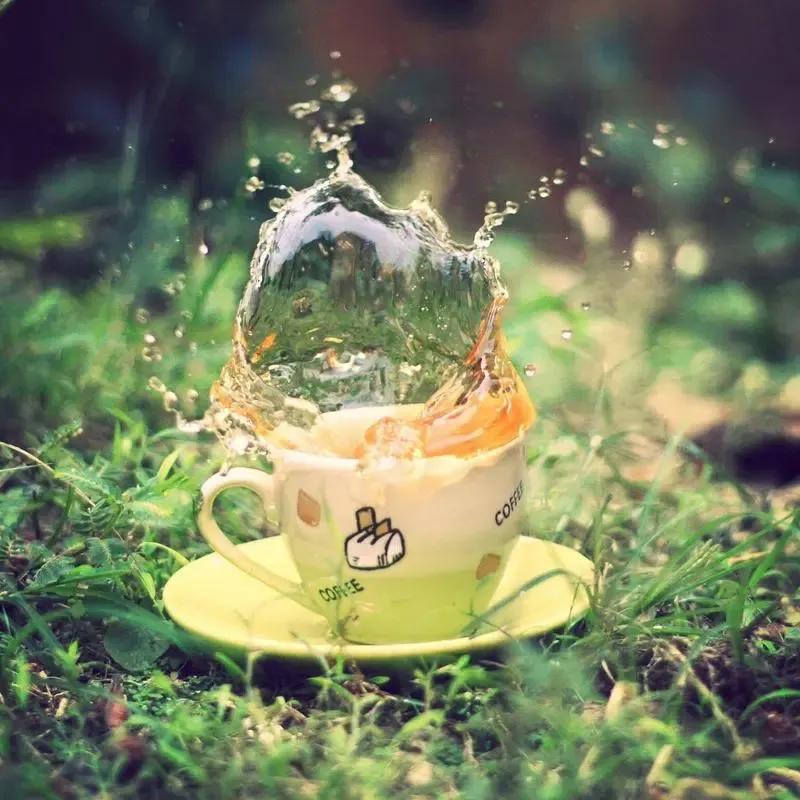 好词好句推荐书本,好词好句推荐视频