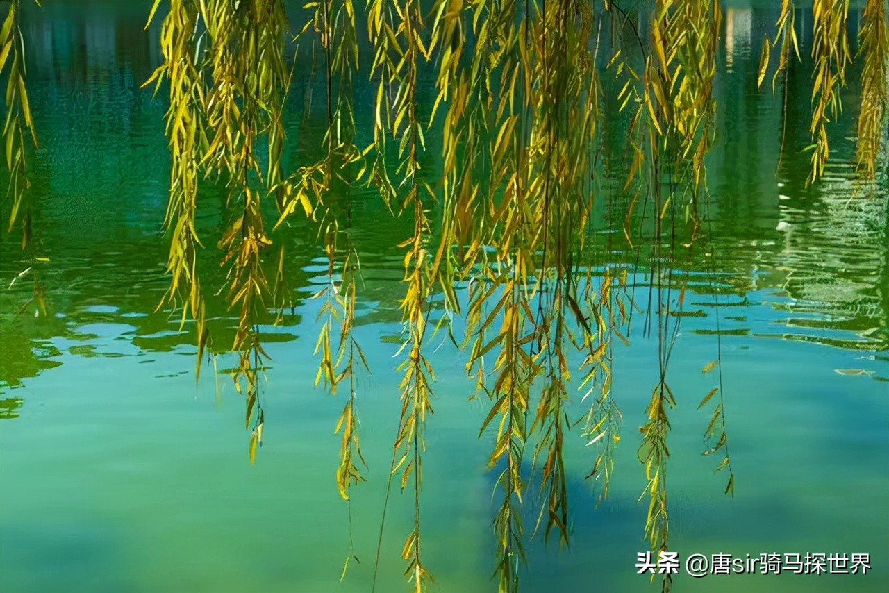 南昌8个公园相亲角,南昌八个公园相亲角