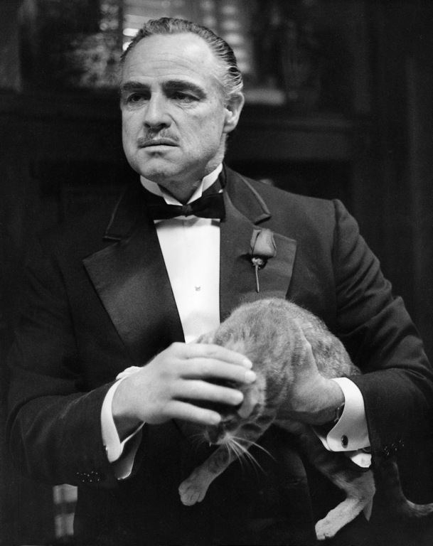 濂借幈鍧炴斁鑽′笉缇佺殑鐢峰,濂借幈鍧炵敺鏄庢槦鏀捐崱涓嶇緛