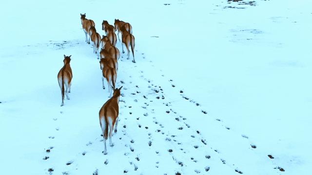 绌胯秺鍥涘ぇ鏃犱汉鍖哄彲鍙タ閲岀涔濆ぉ,鍙彲瑗块噷鏋侀檺涔嬫梾