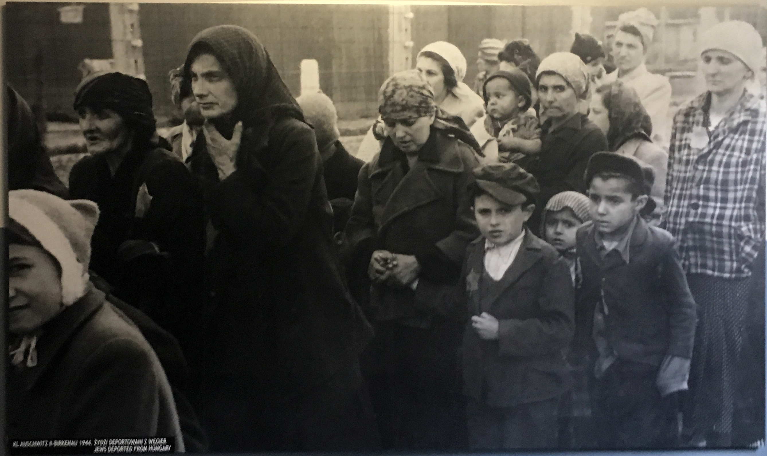 荷兰阿姆斯特丹景点,荷兰阿姆斯特丹旅行视频