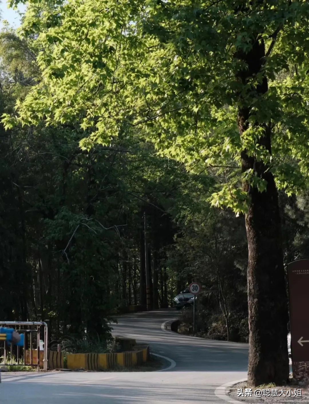 一场烟花登顶热搜！满城美食火成顶流，这座夏日小城太宝藏了！