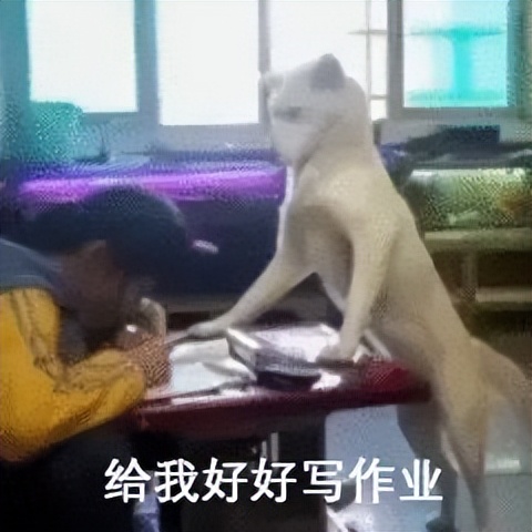 高中生表情包：学习使我妈快乐