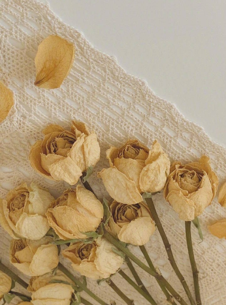 天道酬勤的头条,天道酬勤头条