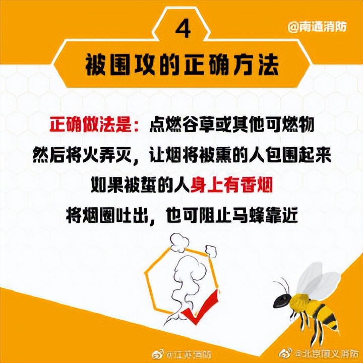 遇到马蜂袭击的视频,被马蜂袭击最快的时间