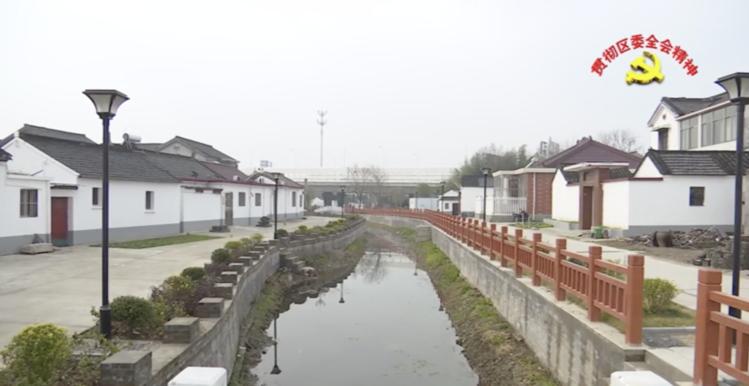 贯彻区委全会精神｜高桥镇：全力以赴拼经济齐心协力保民生