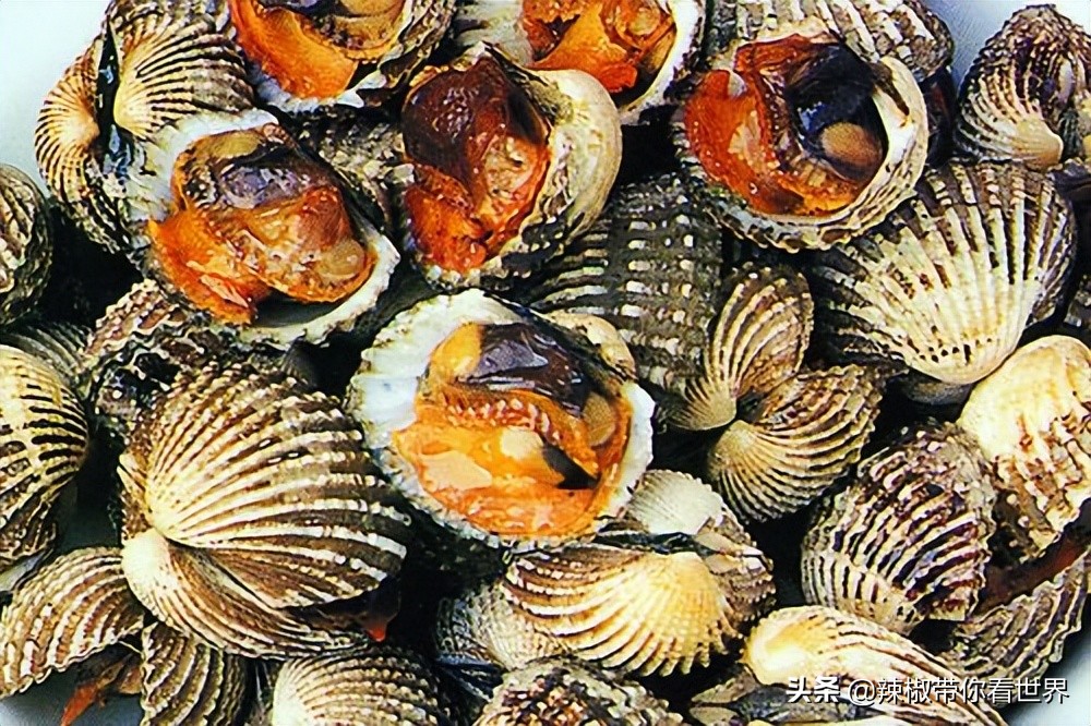 宁德大黄鱼之乡攻略,霞浦大黄鱼之乡图片