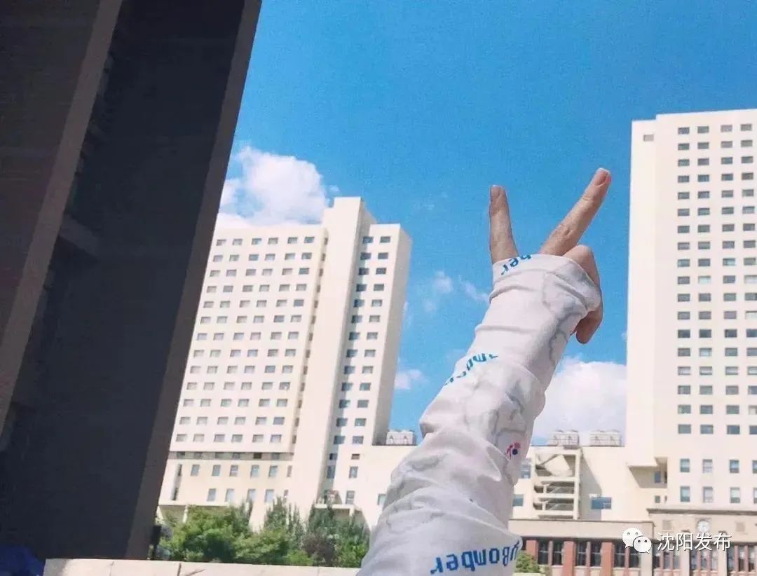 沈阳警方严查学校,公安部门提醒家长警惕