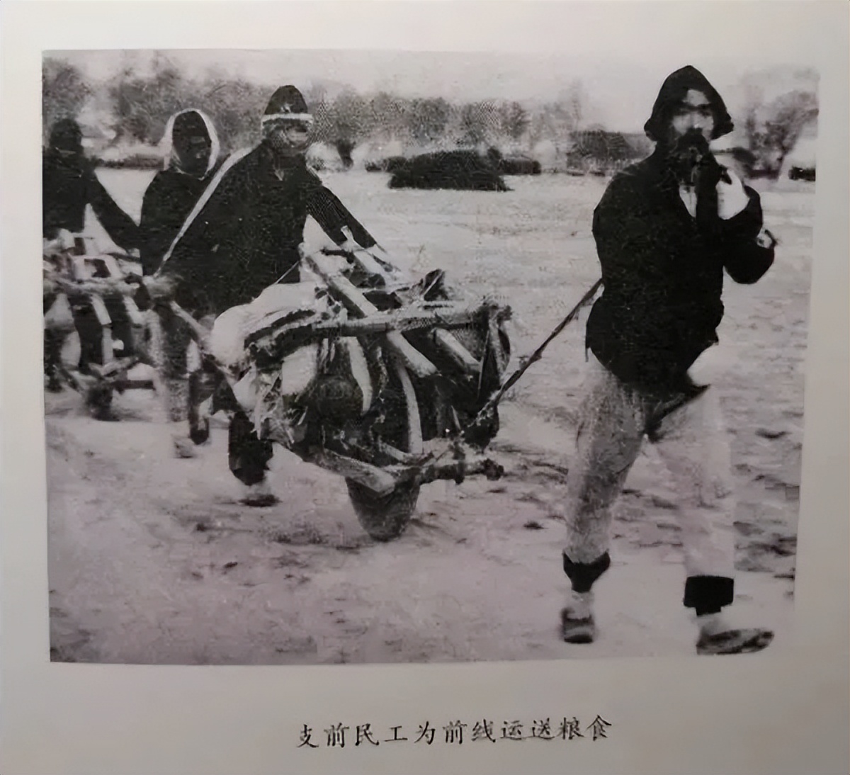 全国玉米最新卖粮进度,2023年小麦和玉米价格高还是低