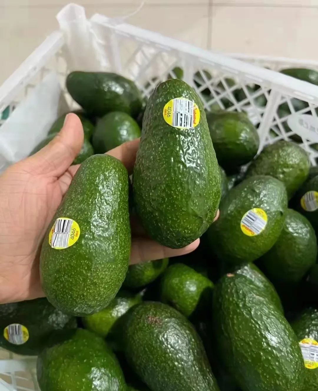 智利进口水果安全么,怎么才能了解进口水果的行情