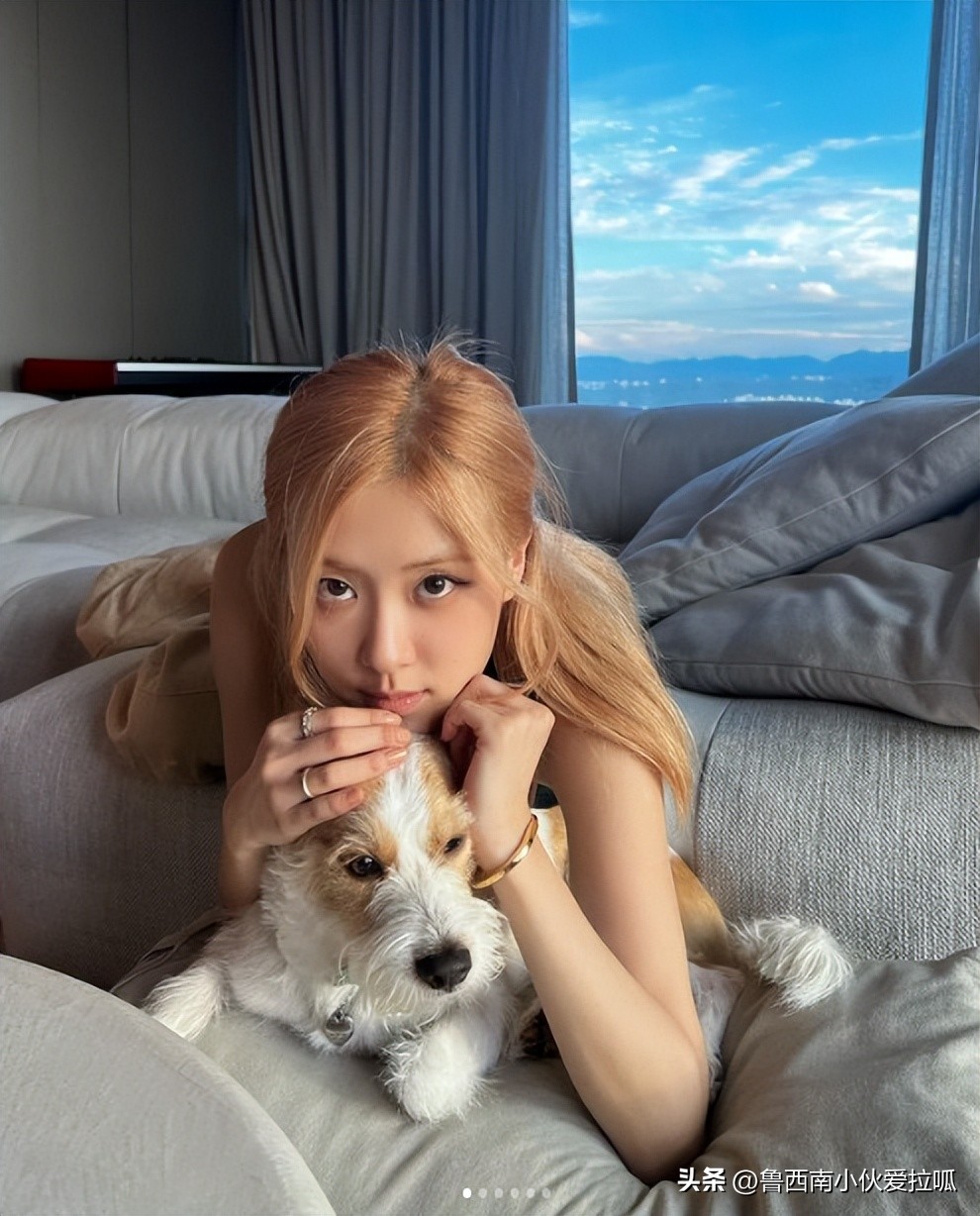 blackpink的粉丝必知,blackpink成员必知道的