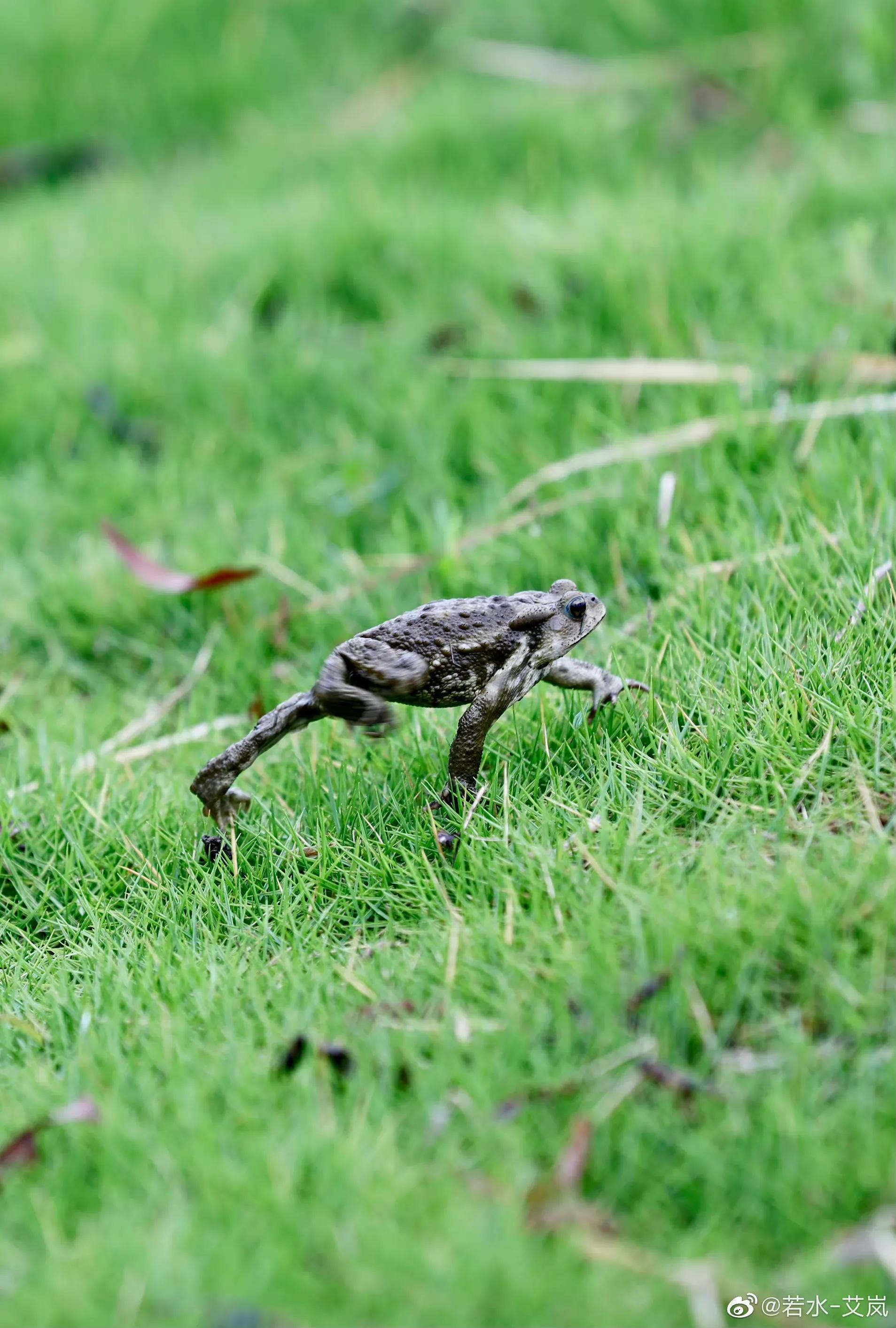 上海市嘉定区安亭国际汽车城,上海嘉定安亭国际汽车城