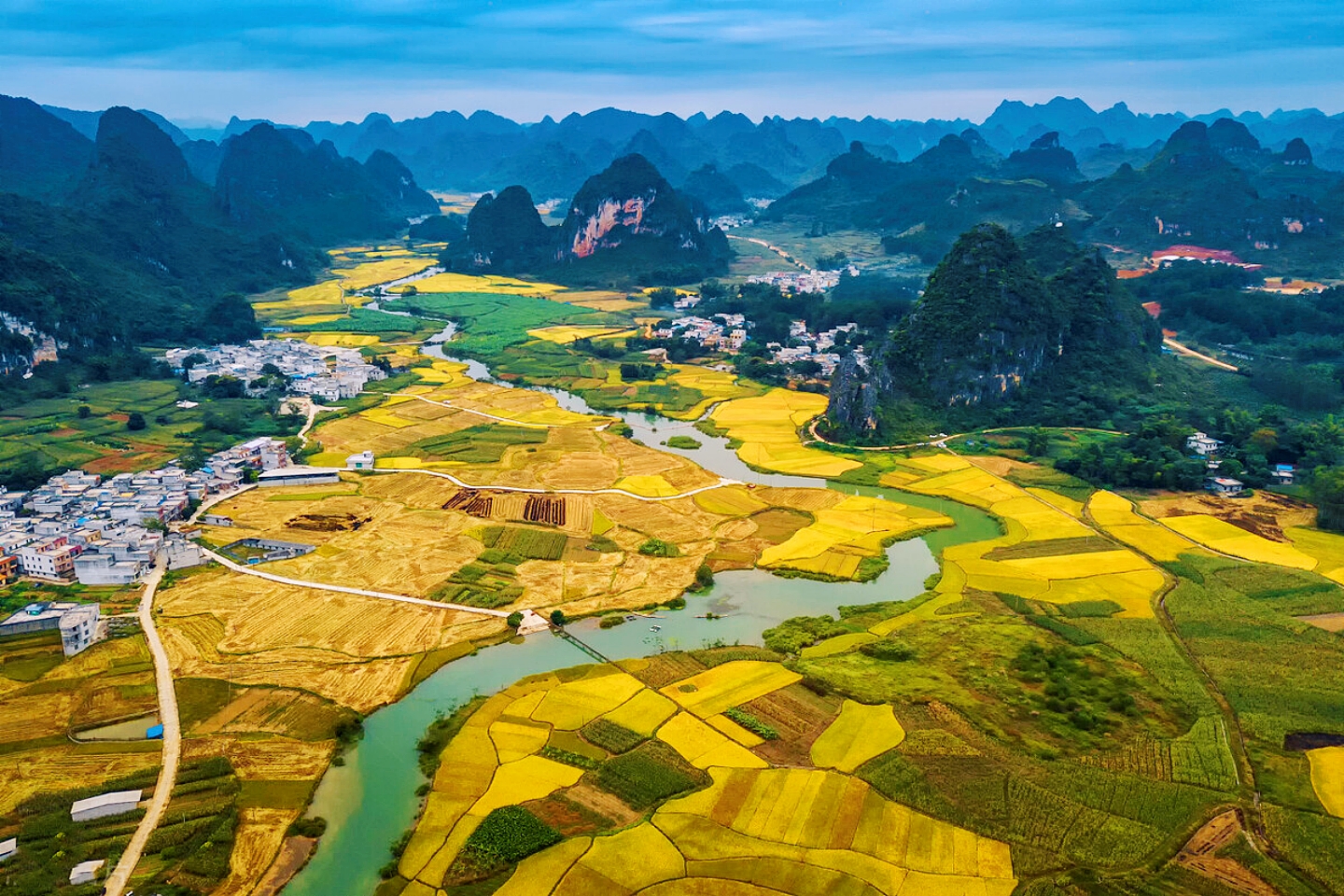 三雄争地，广西甘蔗、水果、桉树，谁是赢家？