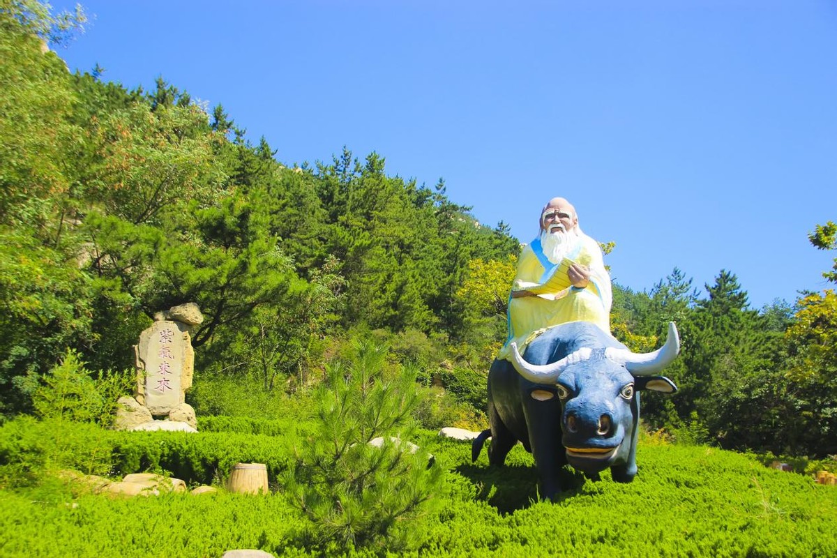 森田疗法治强迫症社交恐惧症,易经讲社交恐惧症