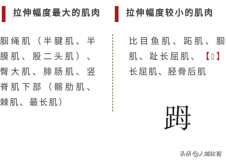 在沙发上锻炼,久坐一族伸展练习方法