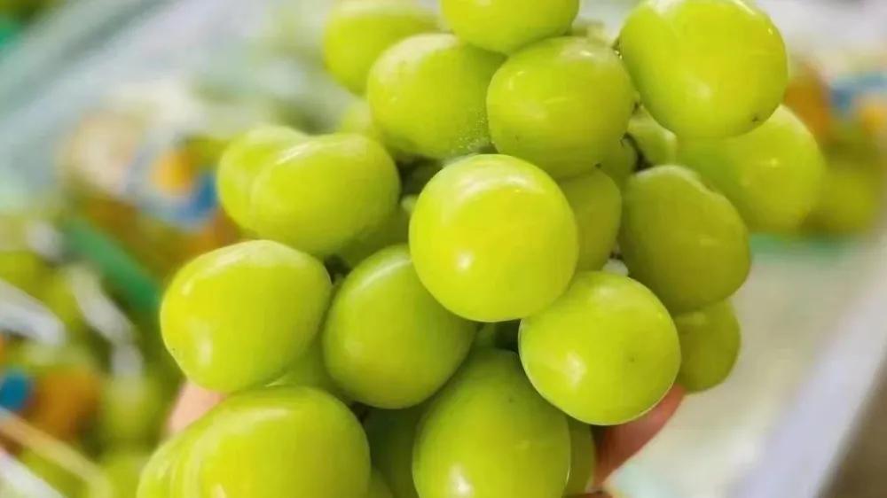 水果店一月毛利点怎么计算,水果店毛利计算公式