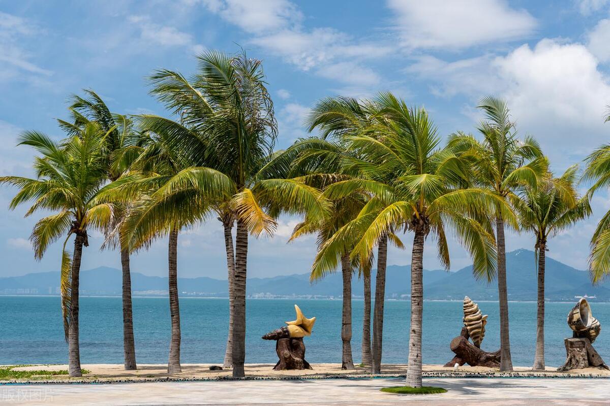 海南买房受骗80万,海南买房骗局视频