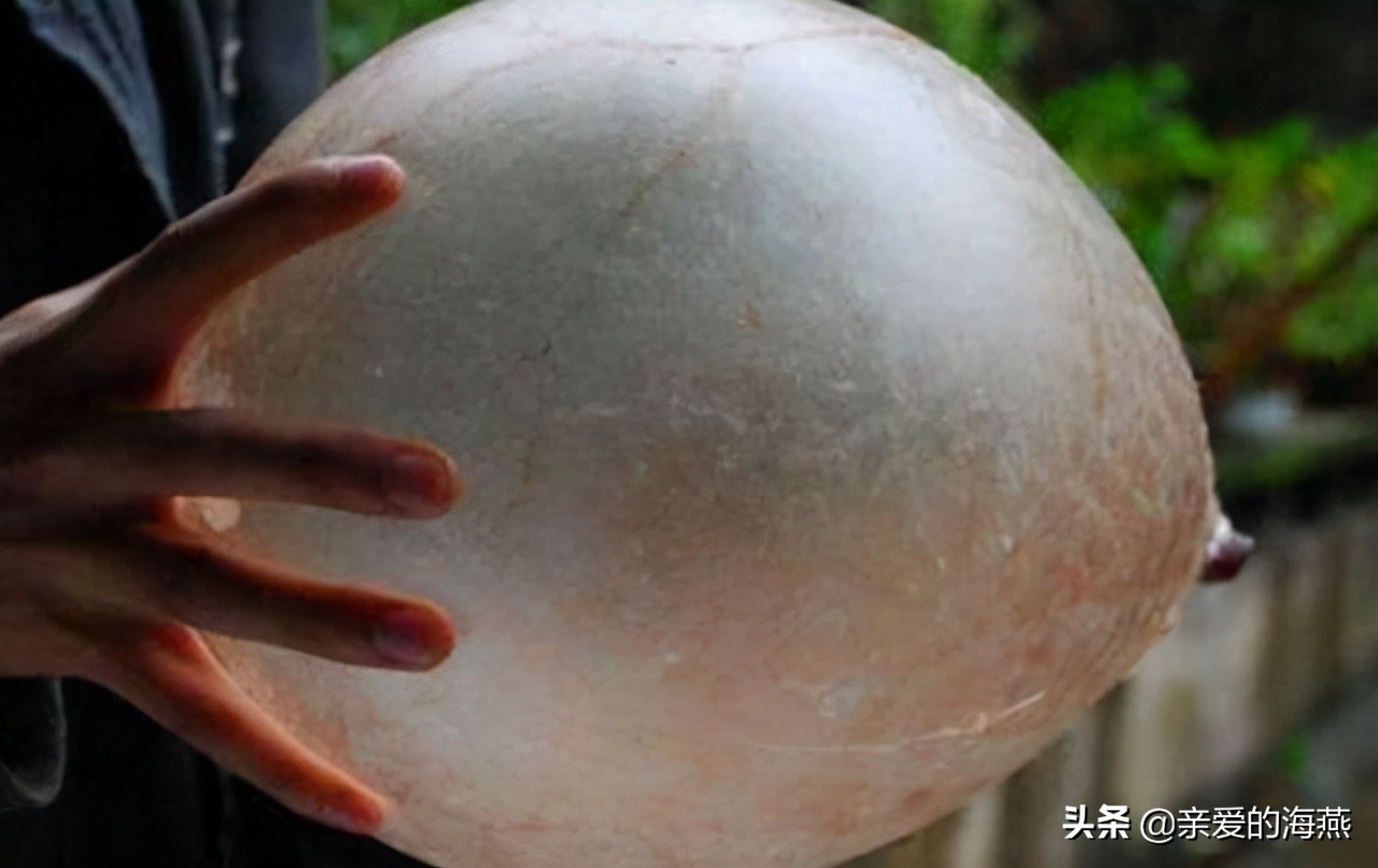 小班益智区自制玩具100例简单,如何给小孩自制不容易损坏的玩具